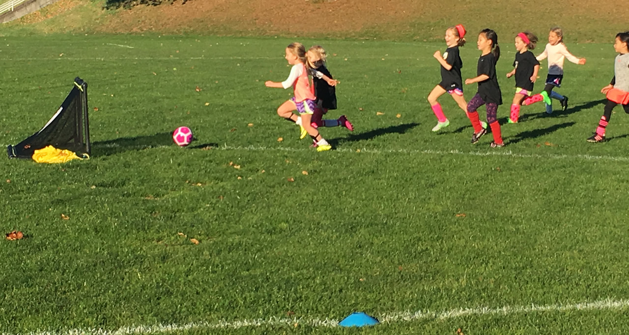 Pro Soccer Kids – Long Island & NYC Soccer Classes for Kids Age 2 to 11